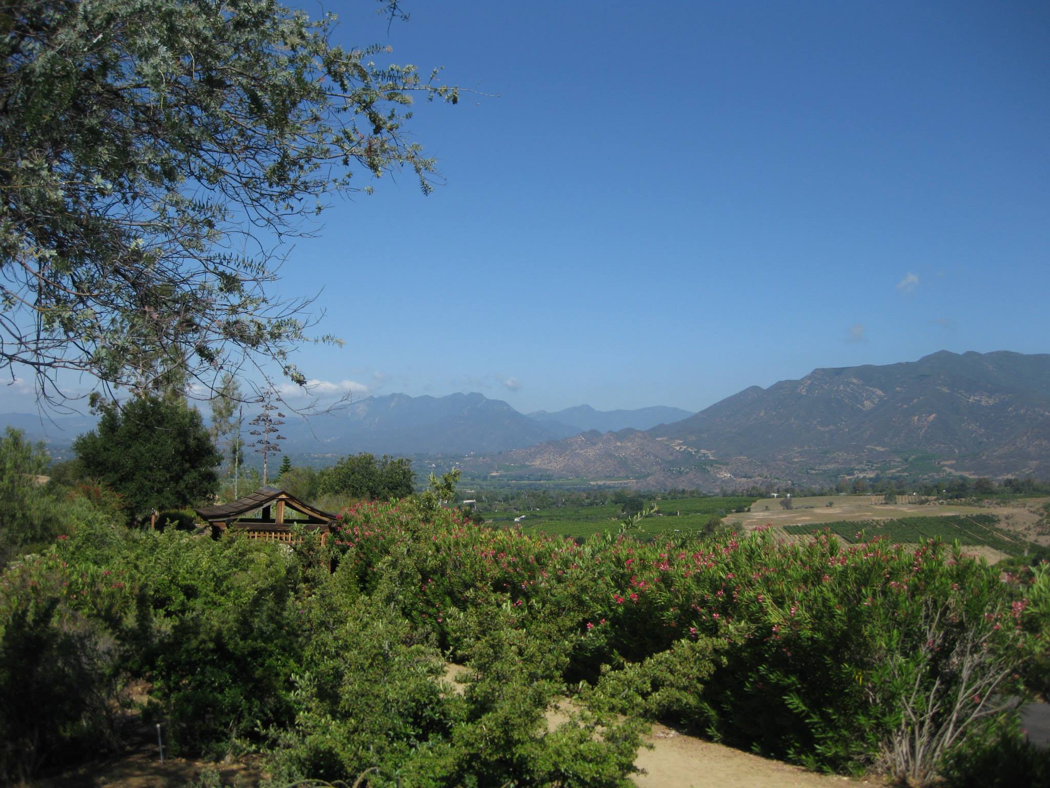 Can acupuncture help with depression? Acupuncture Los Angeles